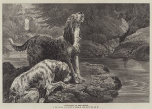 Perros de nutria de Basil Bradley